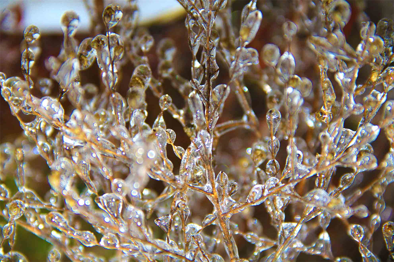 Fine Art Photography Exhibition 2021