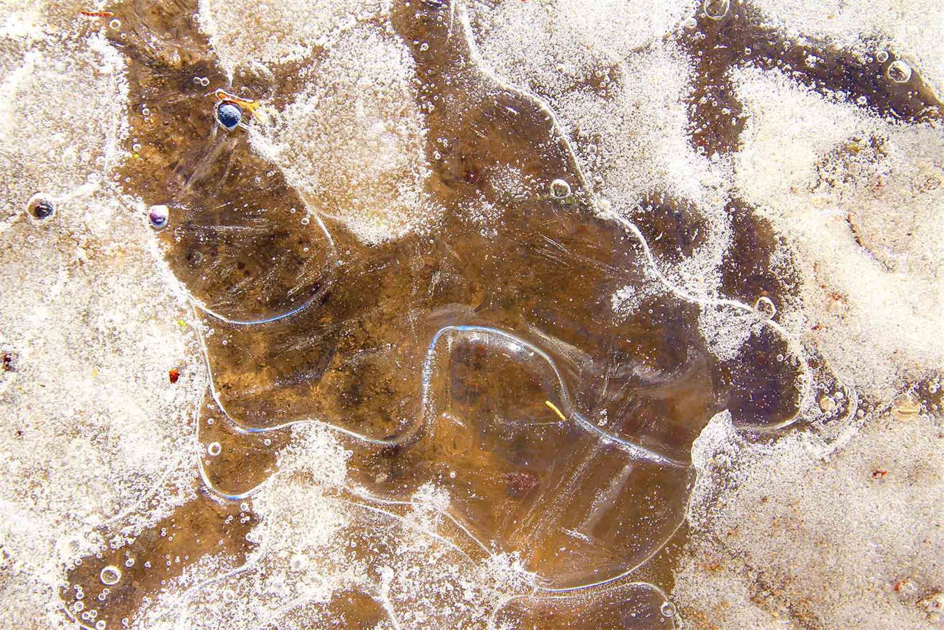 Fine Art Photography Exhibition 2021 "ICE" Art Exhibit Online